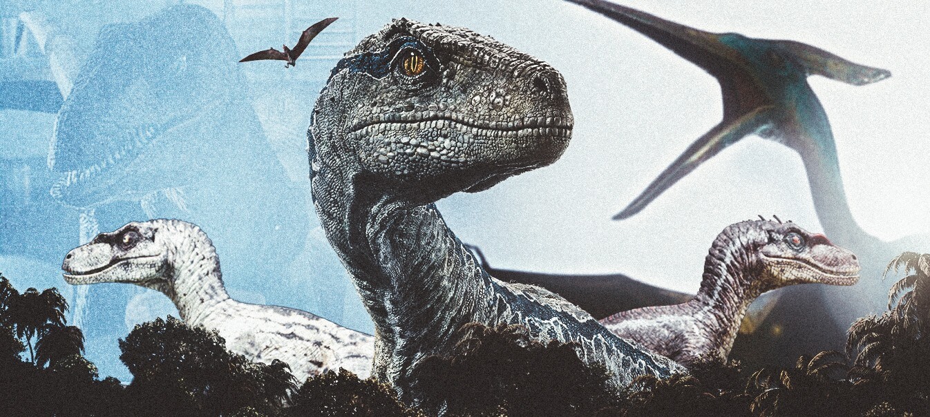 Jurassic Outpost on X: Velociraptor Echo appreciation tweet.   / X