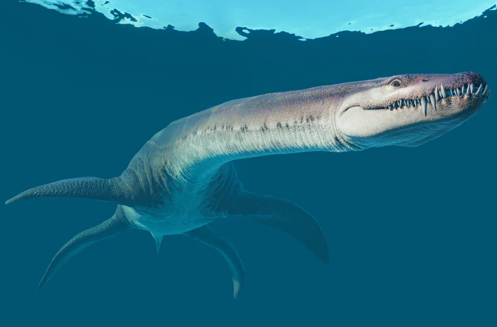 Mosasaurus, Feed and Grow Fish Wikia