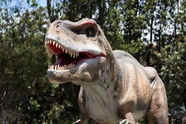 Exploring Scenic World’s Dinosaur Valley: A Real-Life Jurassic Adventure in the Blue Mountains